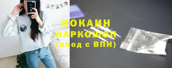 прущие грибы Долгопрудный