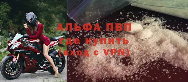 эйфоретик Бородино