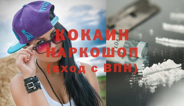 эйфоретик Бородино
