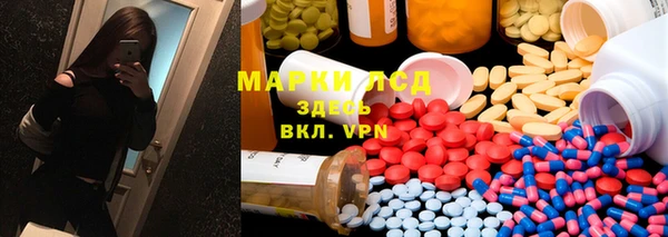 эйфоретик Бородино
