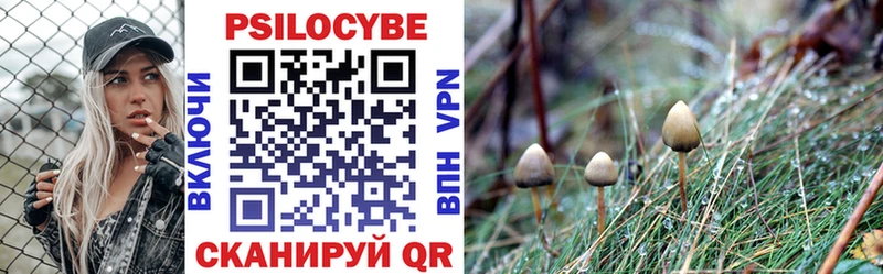 Псилоцибиновые грибы MAGIC MUSHROOMS  где продают   Бородино 